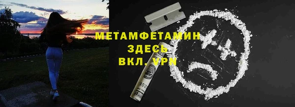 индика Бородино