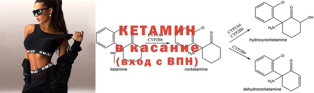 индика Бородино